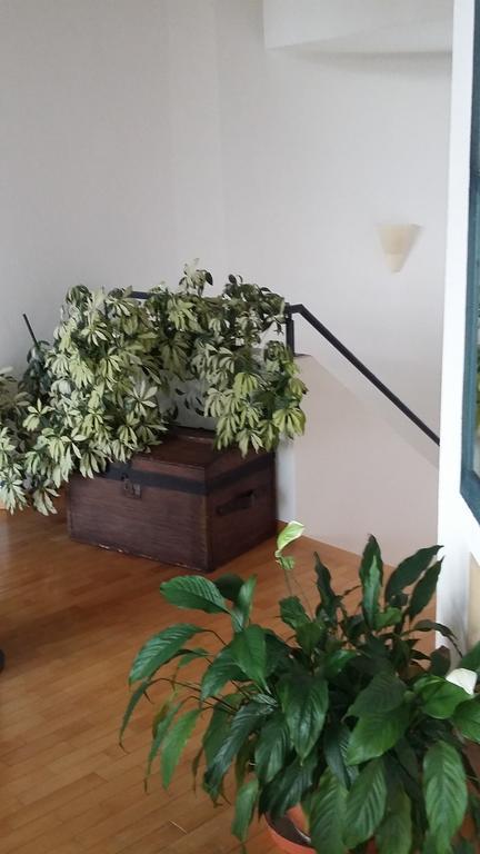 B&B Il Vigneto Мелано Екстериор снимка