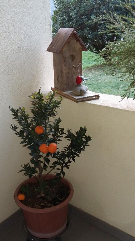 B&B Il Vigneto Мелано Екстериор снимка